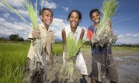 Empower Rural Communities in Timor-Leste in Timor-Leste, Run by: Oxfam Australia 